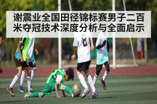 谢震业全国田径锦标赛男子二百米夺冠技术深度分析与全面启示